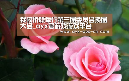 我校侨联举行第三届委员会换届大会_ayx爱游戏游戏平台(图1) ayx爱游戏app