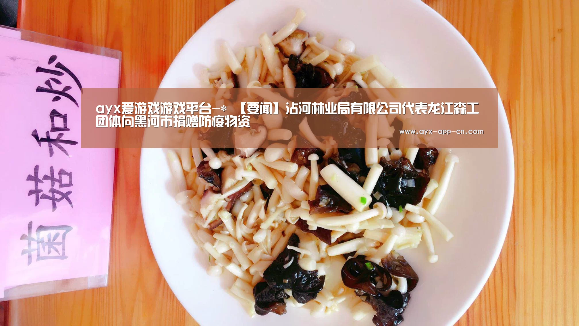 ayx爱游戏游戏平台-*
【要闻】沾河林业局有限公司代表龙江森工团体向黑河市捐赠防疫物资(图3) ayx爱游戏app