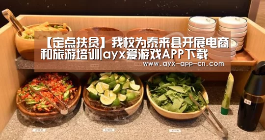【定点扶贫】我校为泰来县开展电商和旅游培训|ayx爱游戏APP下载(图1) ayx爱游戏游戏平台