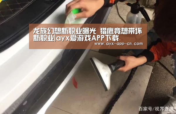 ayx爱游戏官网