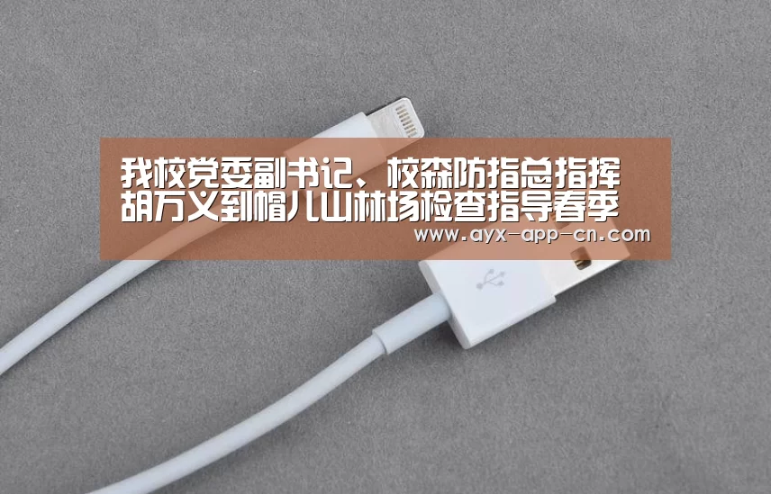 我校党委副书记、校森防指总指挥胡万义到帽儿山林场检查指导春季森林防火后期工作【ayx爱游戏APP下载】(图1) ayx爱游戏游戏平台