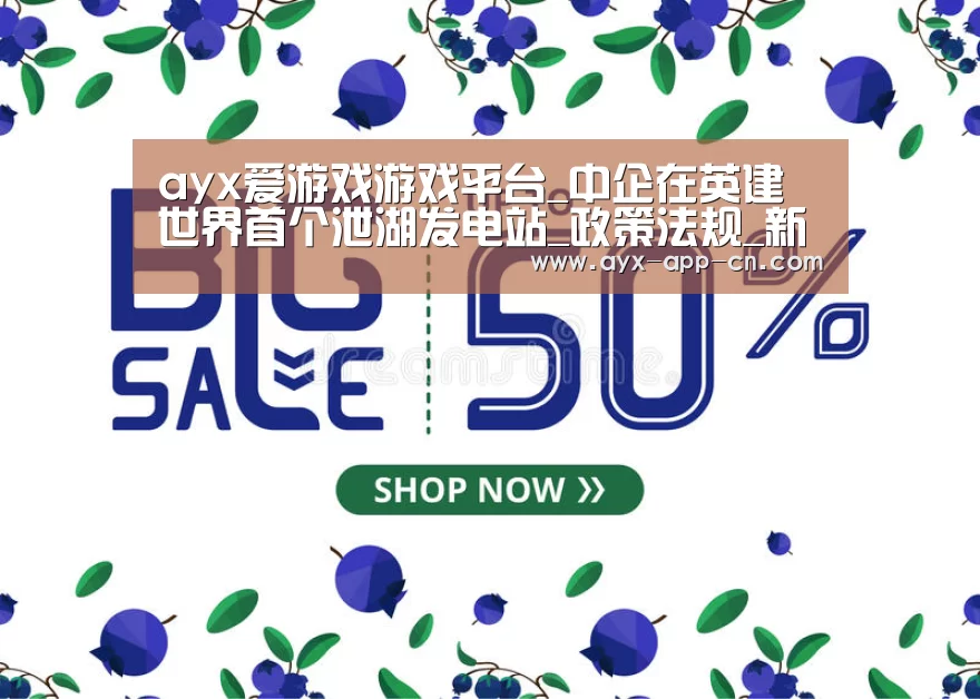 ayx爱游戏APP下载