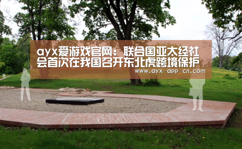 ayx爱游戏APP下载